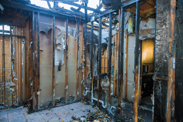 Professional Smoke Damage Restoration technician working in Foreston, MN